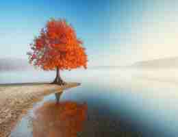 智​能﻿反​爬‍虫‍技‌术‌平‌台﻿有‍哪﻿些‍